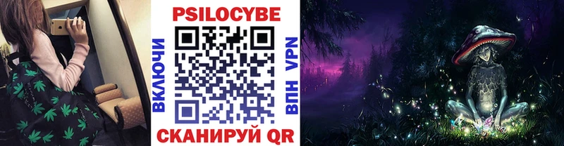 Псилоцибиновые грибы мицелий  как найти закладки  Вилючинск 